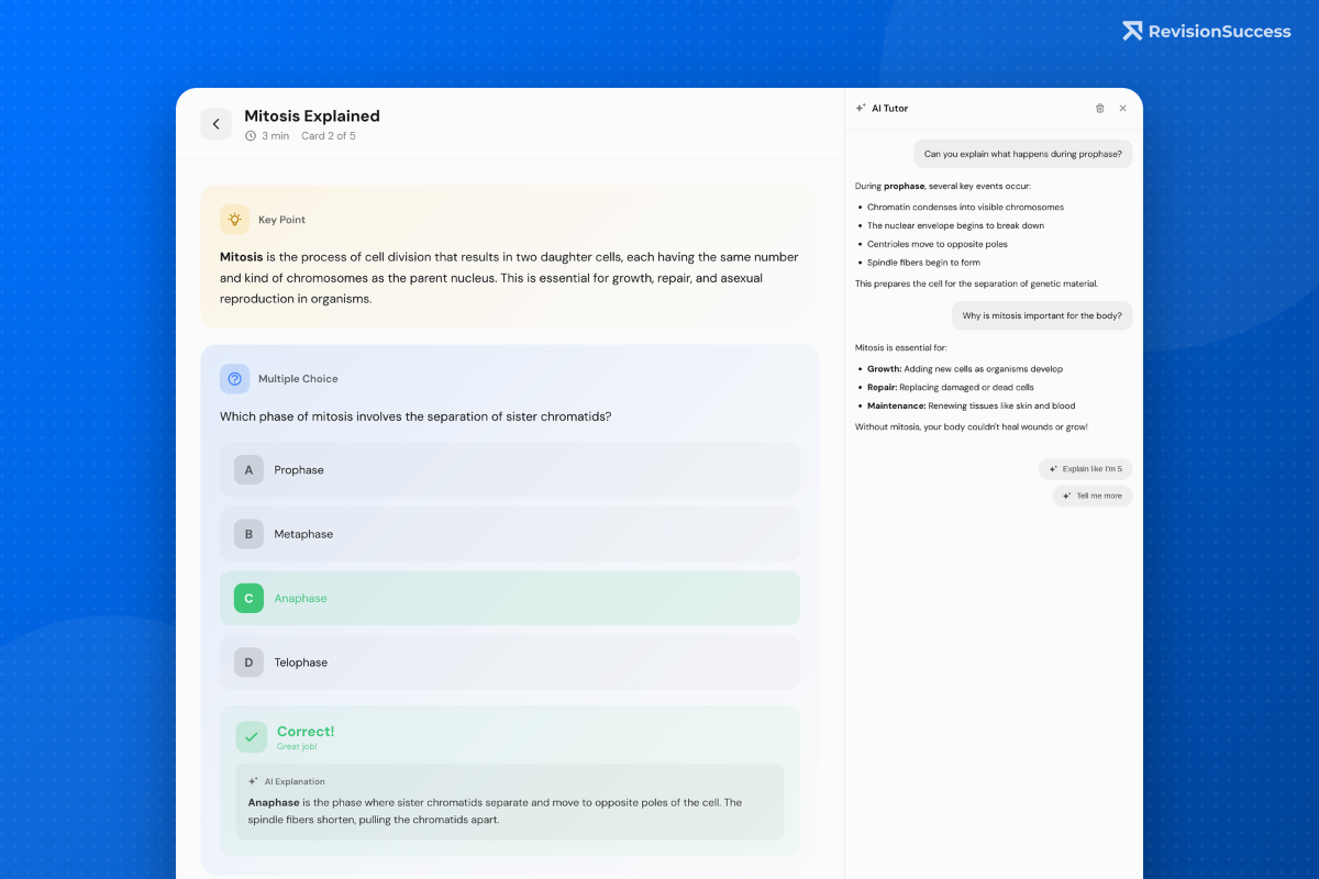 Lessons break down concepts into key points, explanations, and examples