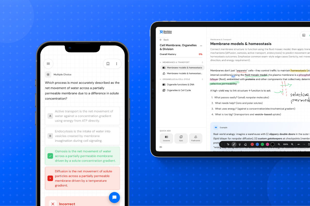 RevisionSuccess on phone and tablet: quizzes and lessons built from any study material
