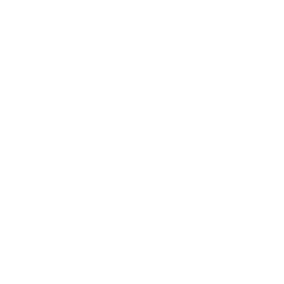 RevisionSuccess Icon - White